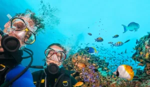 Scuba Diving